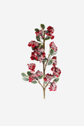 Holly Stem w/ Frosted Red Berry