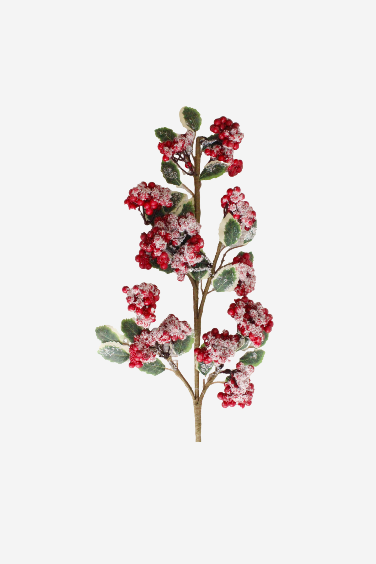Holly Stem w/ Frosted Red Berry