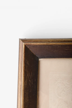 Butterfly Study Wall Art