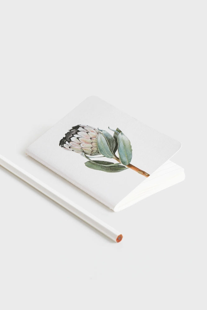Pocket Notebook - Protea