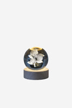LED Globe