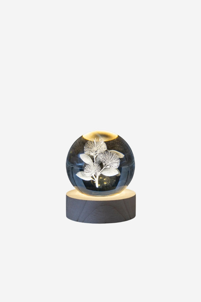 LED Globe