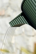 Beetle Watering Can