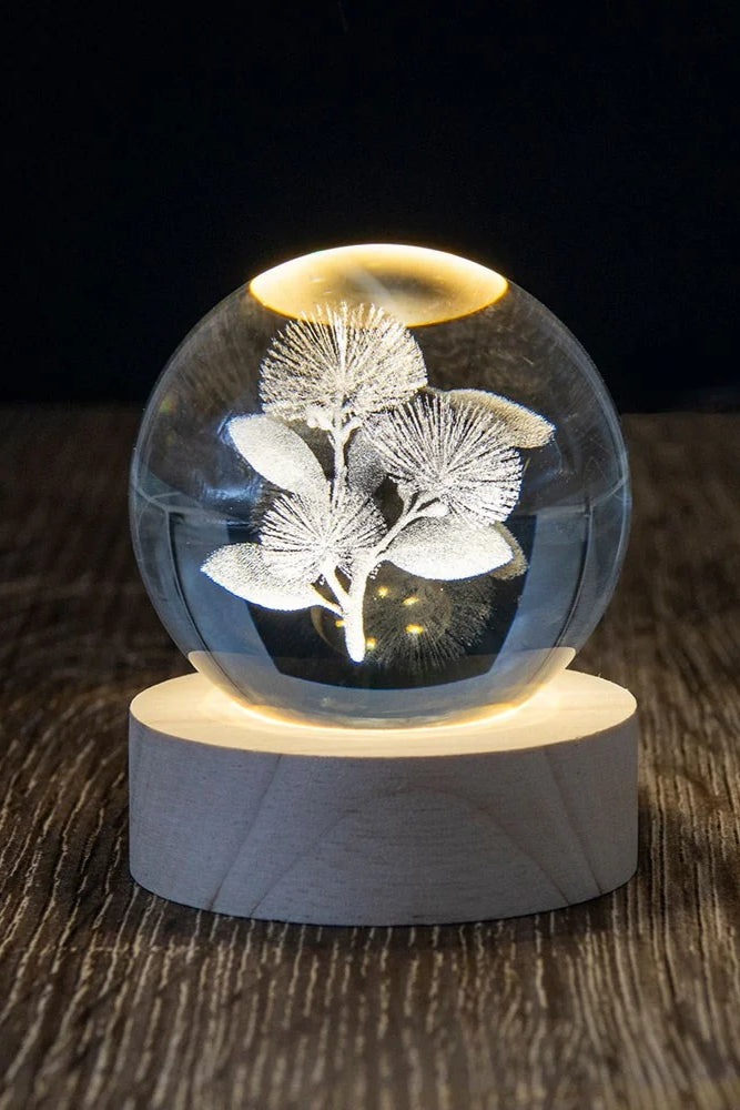 LED Globe