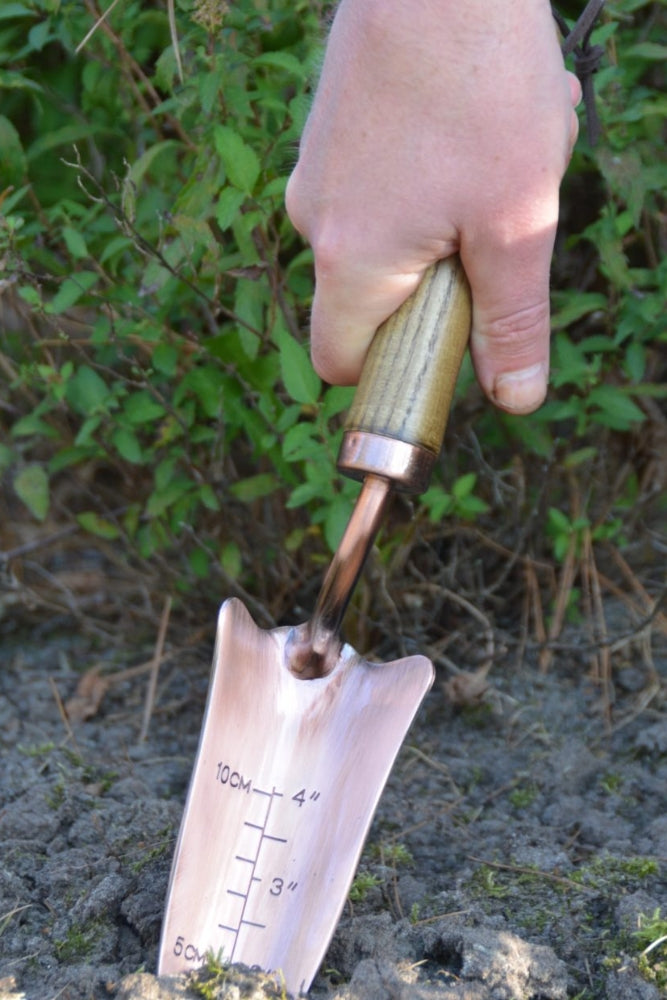 Copper Plated Shovel