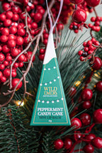 Christmas Mini Lip Balm Hanging
