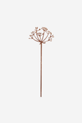 Garden Decoration - Agapanthus