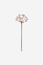 Garden Decoration - Agapanthus