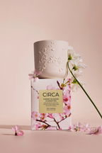 Circa Cherry Blossom and Green Tea