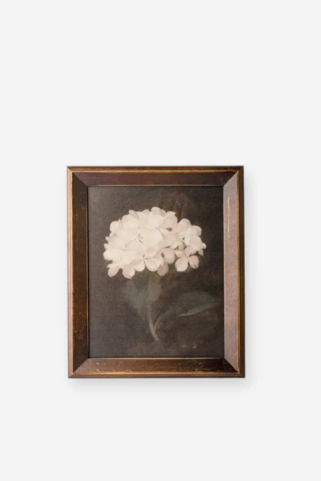 Hydrangea Wall Art