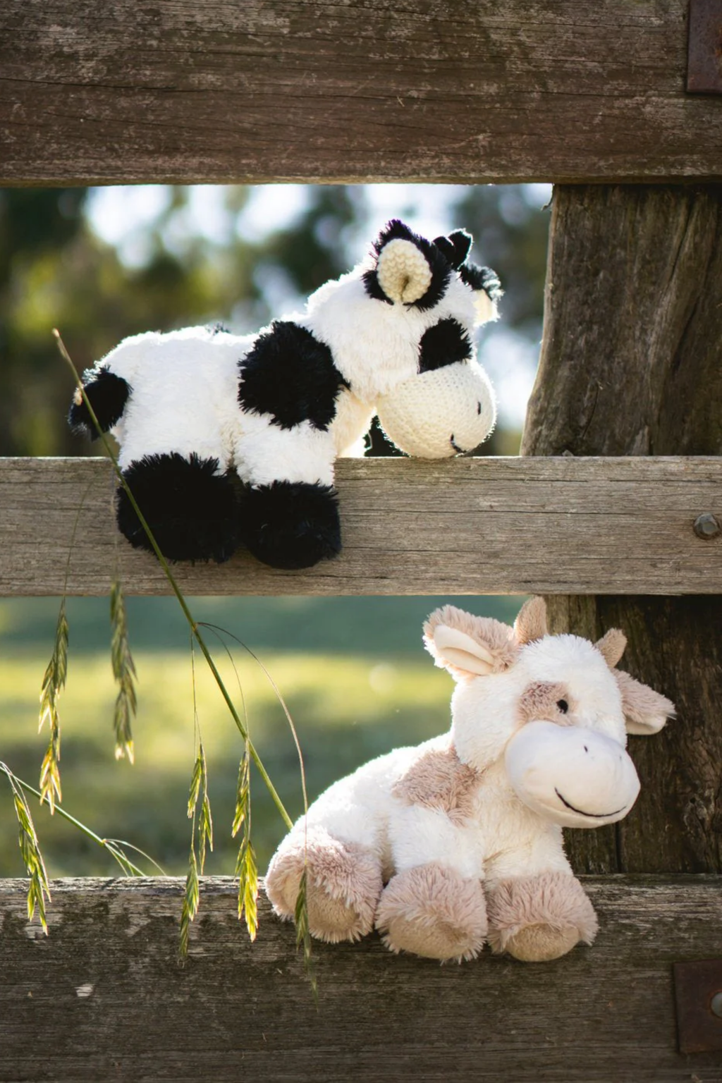 Coco The Cow - Cream