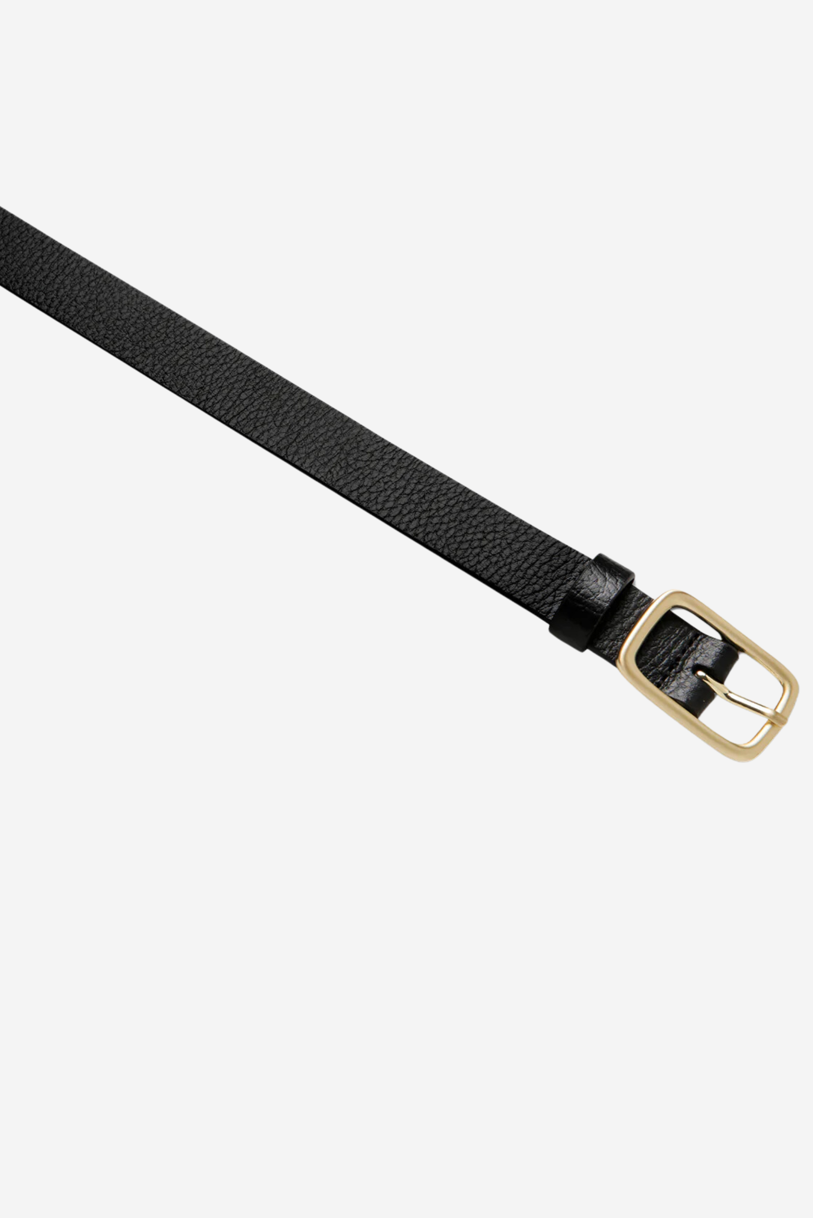 Nobody's Fault Belt - Black/Gold