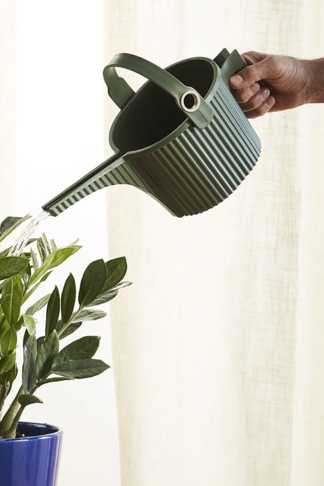 Beetle Watering Can