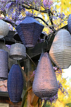 Lantern Long Oval 20cm