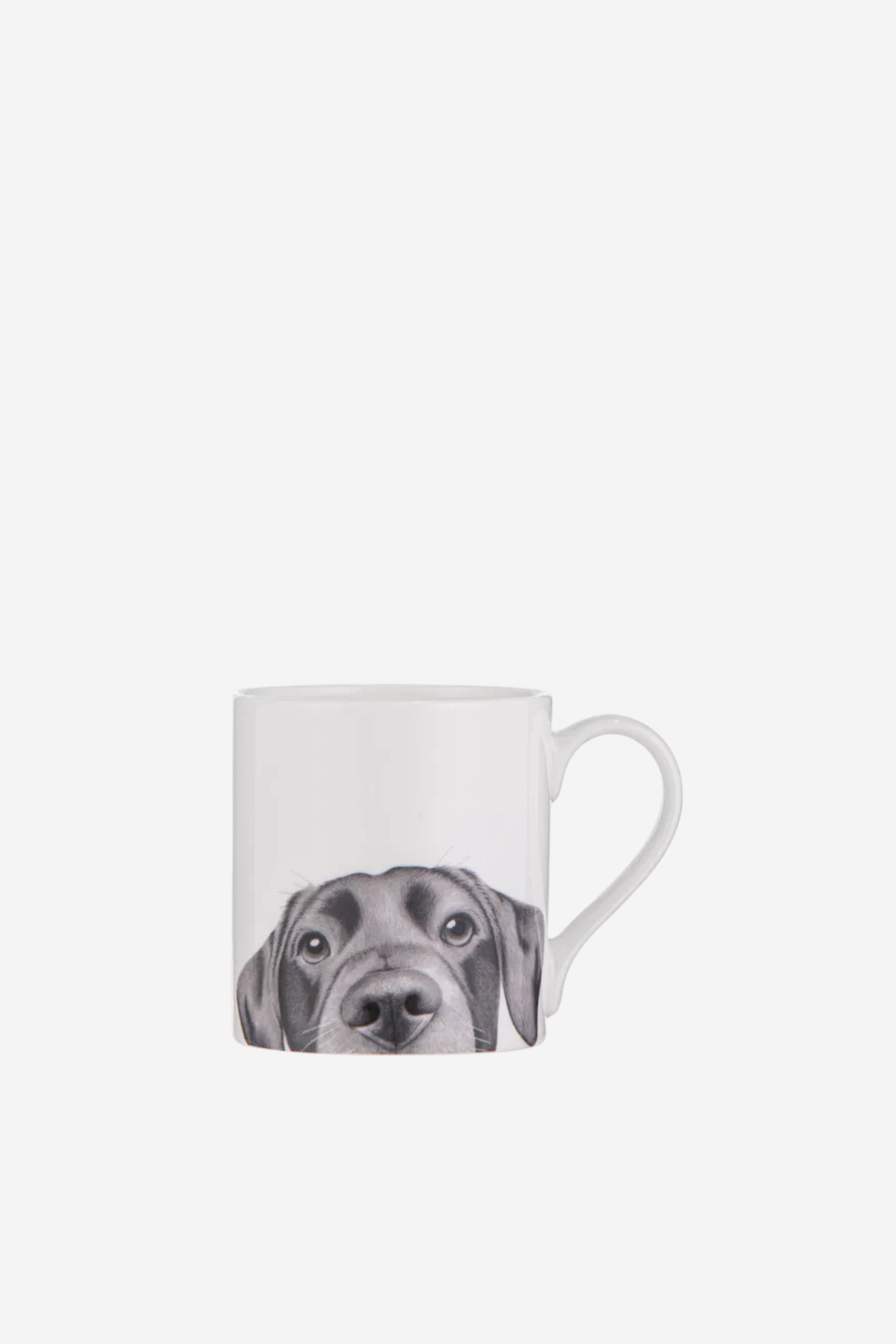Peeking Pups Mug