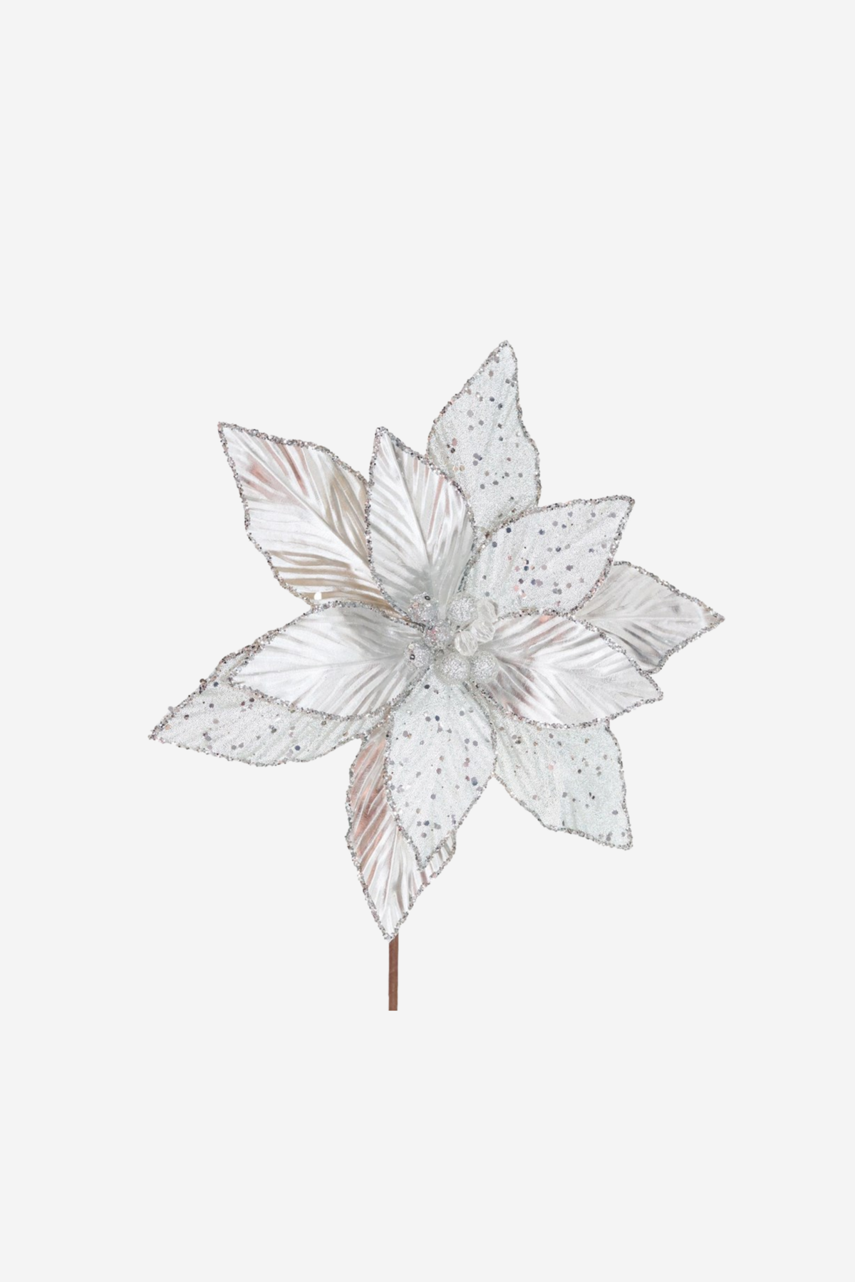 Poinsettia - Silver Petal