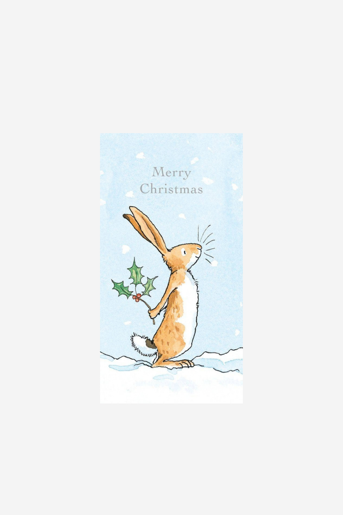 Nutbrown Hare & Holly - Money Wallet