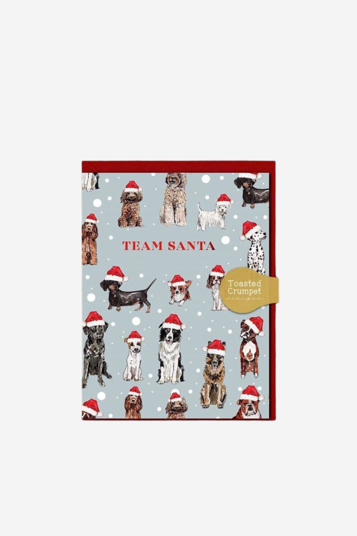 Team Santa - Mini Gift Card