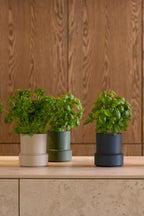Self Watering Pot