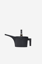 Beetle Watering Can