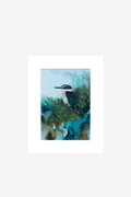 Nestled In Nature - Kingfisher - Mini Matted Print