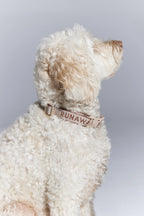 Runaway Woven Dog Collar - Macadamia/Chestnut