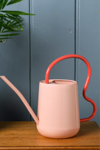 Scalloped Indoor Watering Can