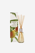 Circa Diffuser - Mango and Papaya
