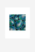 Patterns In Nature Matted Print