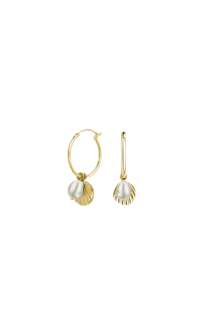 Shell and Pearl Drop Earrings