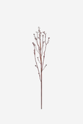 Budding Twig