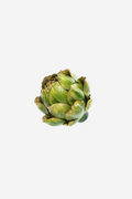 Open Artichoke