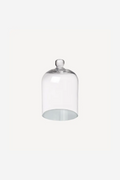 Small Glass Dome