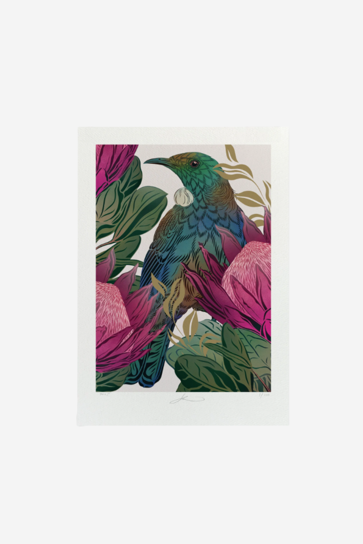 Antipodes Tūī & King Protea Boutique Print