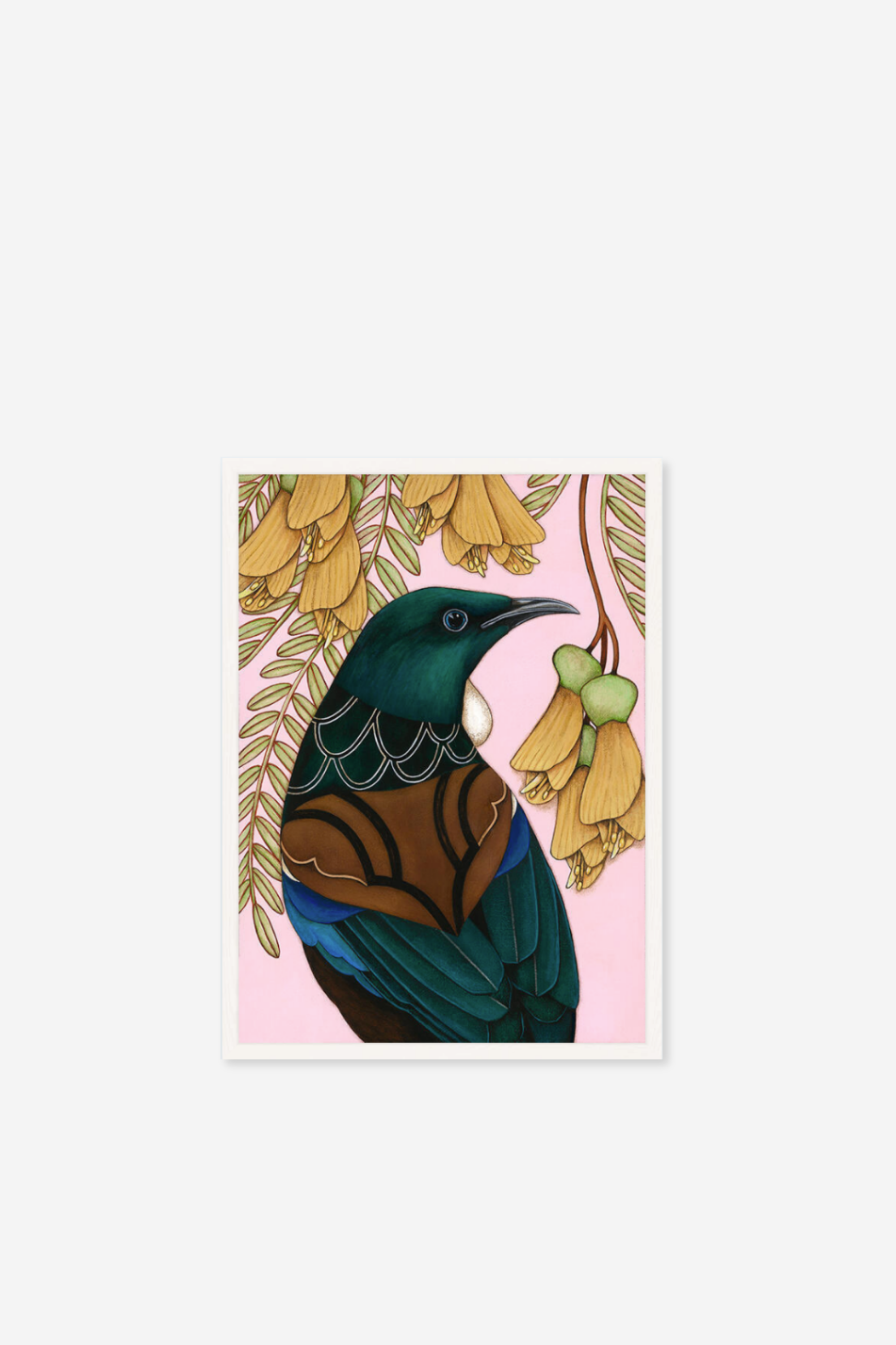 Tui And Kowhai Art Print in Box Frame - Small
