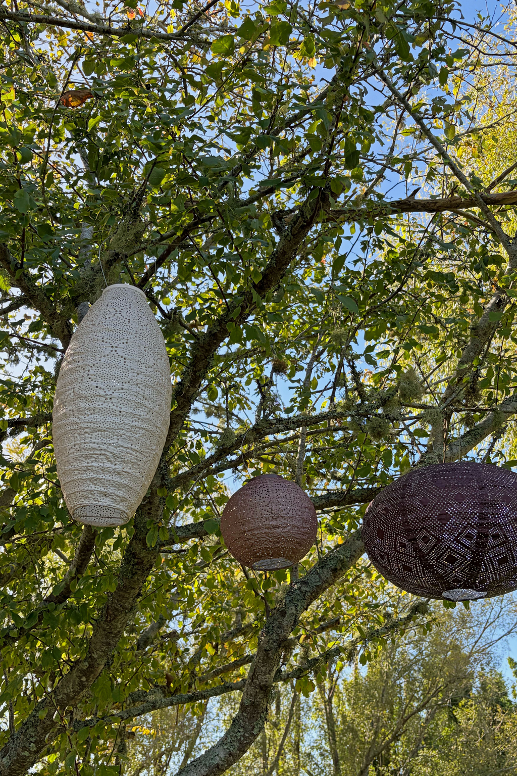 Lantern Long Oval 20cm