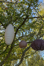 Lantern Long Oval 20cm