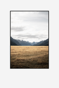 Grasslands Framed Canvas