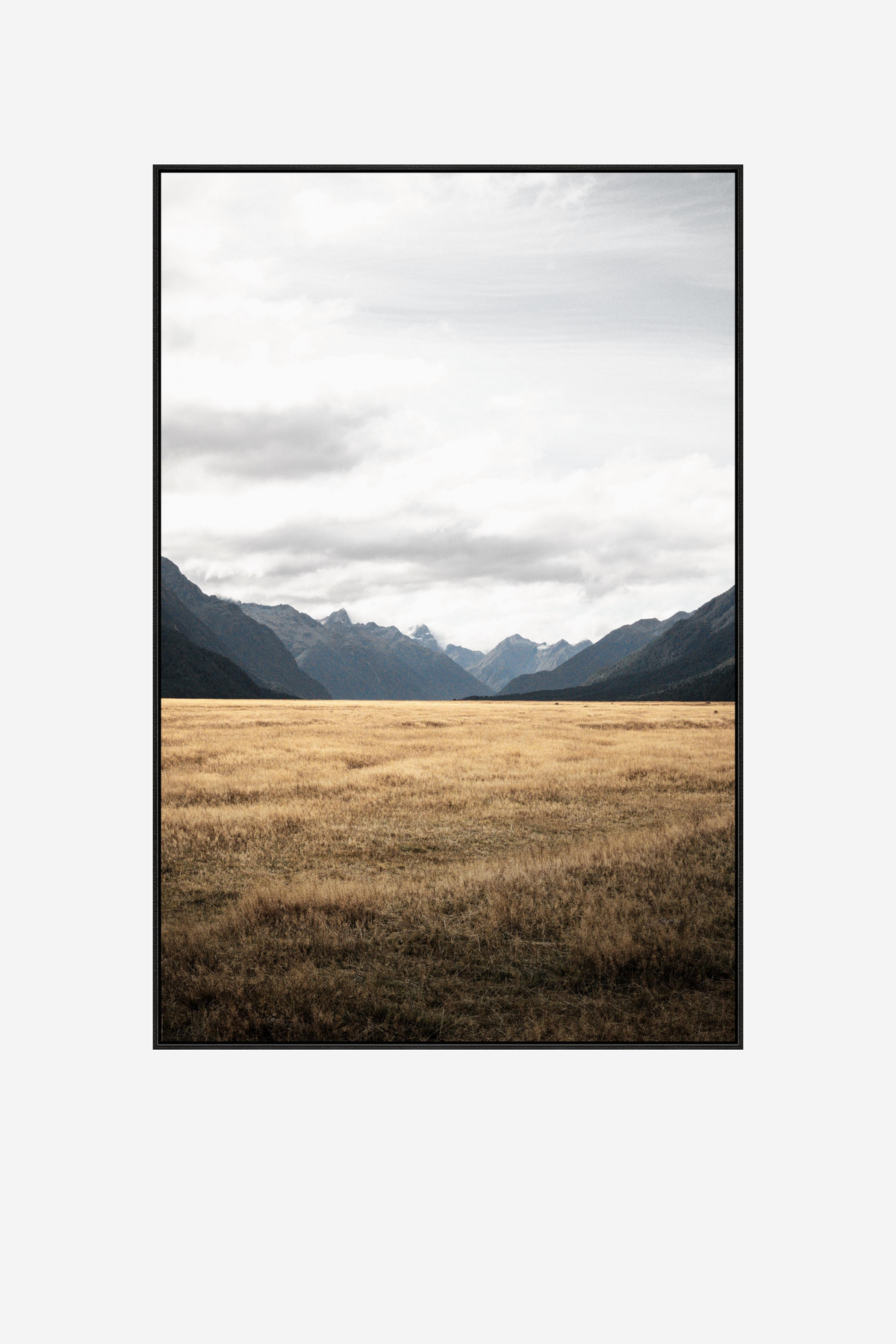 Grasslands Framed Canvas