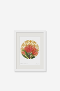 Pohutukawa Fractals Art Print