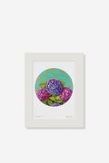 Hydrangea Art Print