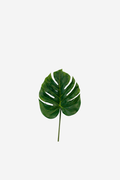 Split Philo Leaf - Large