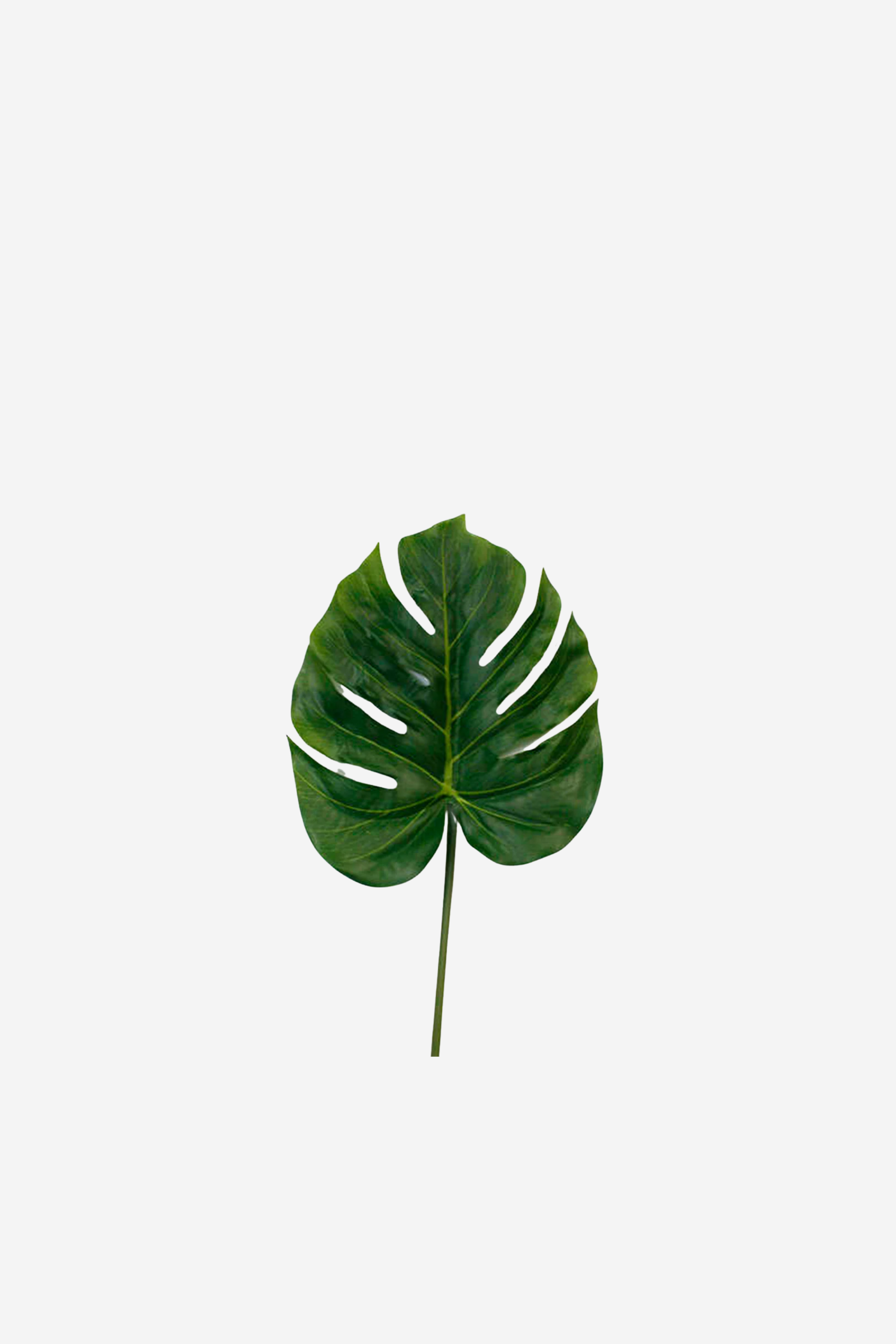 Split Philo Leaf - Large