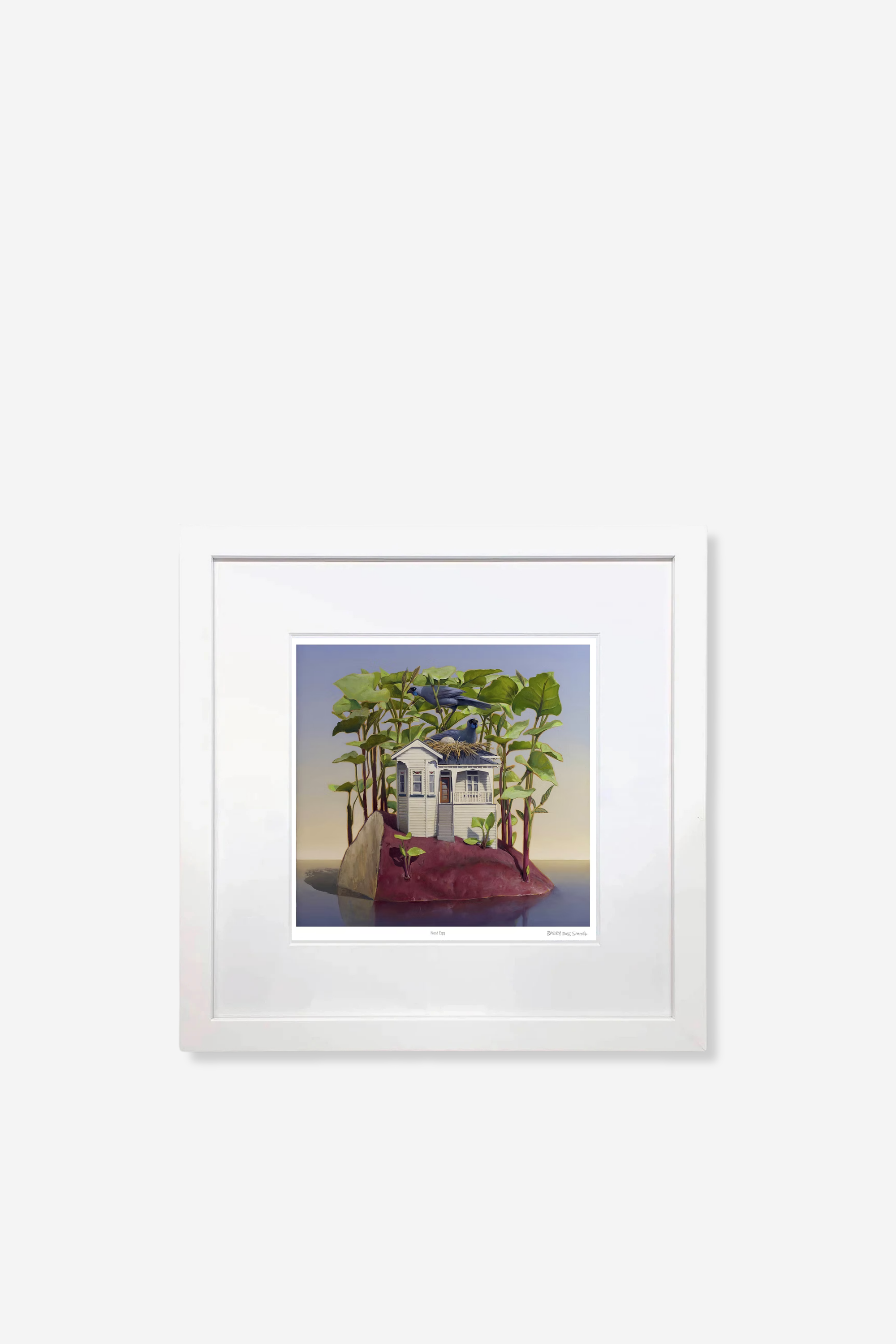 Nest Egg - Framed Print Small