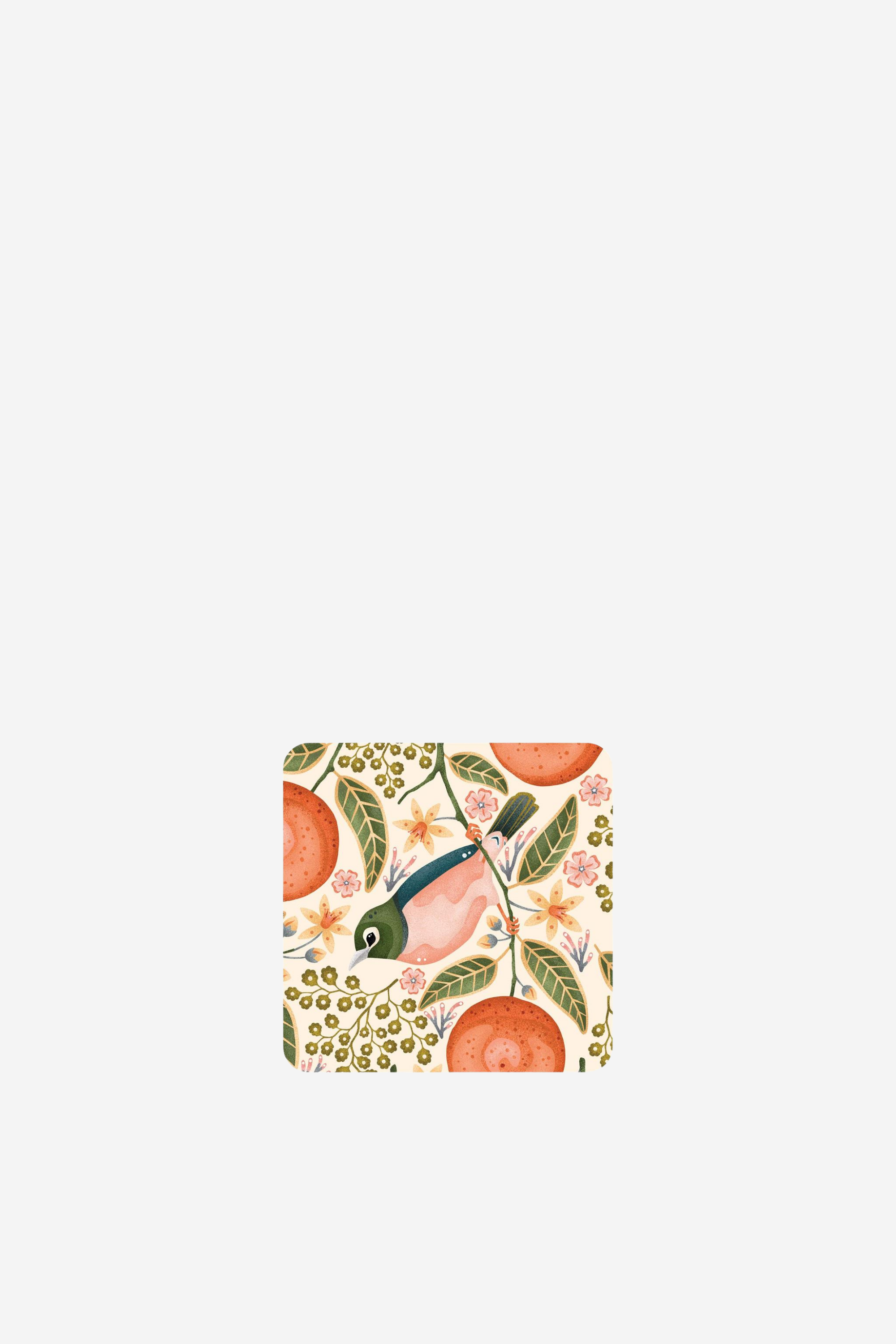 Cream Waxeye & Mandarins Coasters -Set of 4