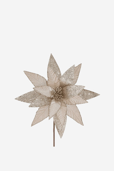 Poinsettia - Champagne Glitter/Gold Glitter Edge