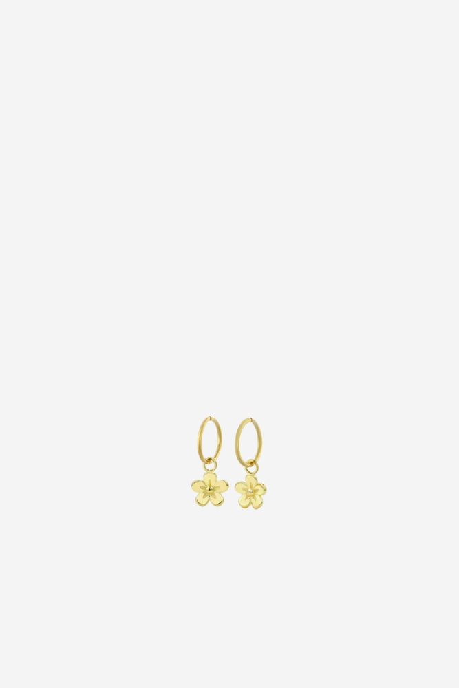 Daisy Day Sleepers - Gold