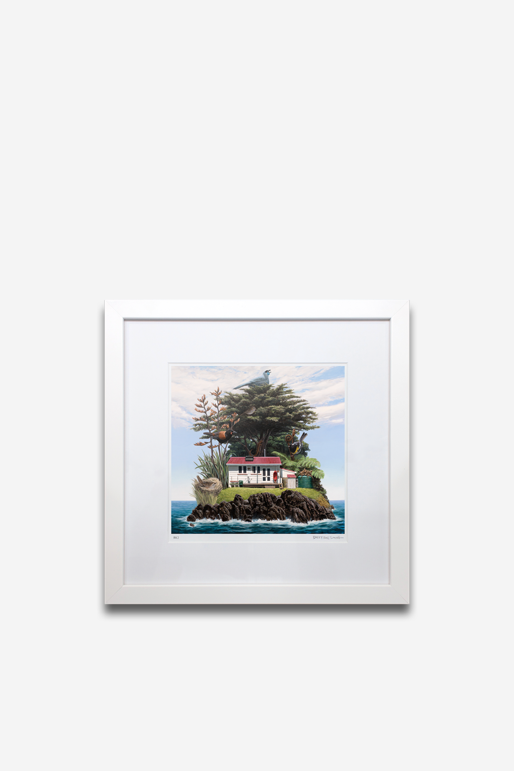 Ark ll Framed Print