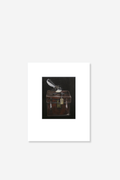 Piwakawaka's Case Mini Matted Print