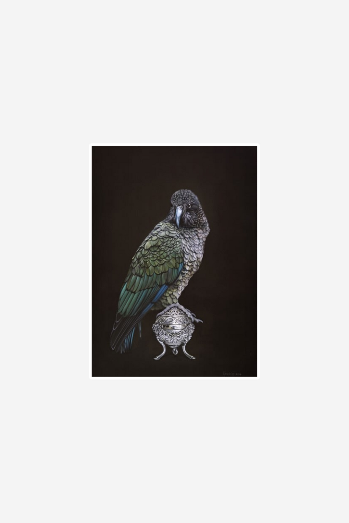 Kea on Vessel Art Print Box Frame